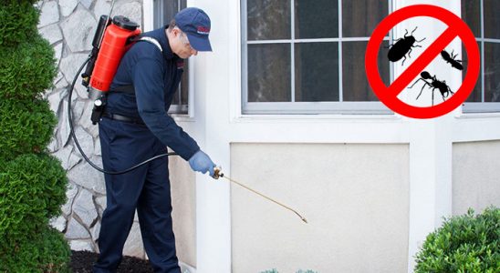 Yeşilhisar Karınca İlaçlama böcek ilaçlama ve haşere kontrolü — ilaclama-tr.com